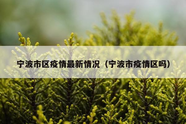 宁波市区疫情最新情况（宁波市疫情区吗）