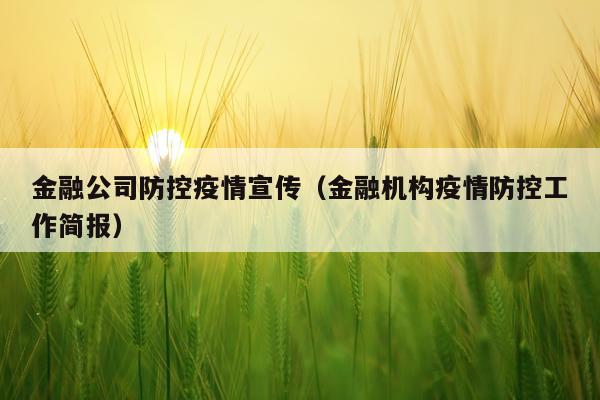 金融公司防控疫情宣传（金融机构疫情防控工作简报）