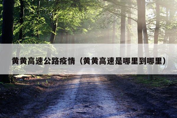 黄黄高速公路疫情（黄黄高速是哪里到哪里）