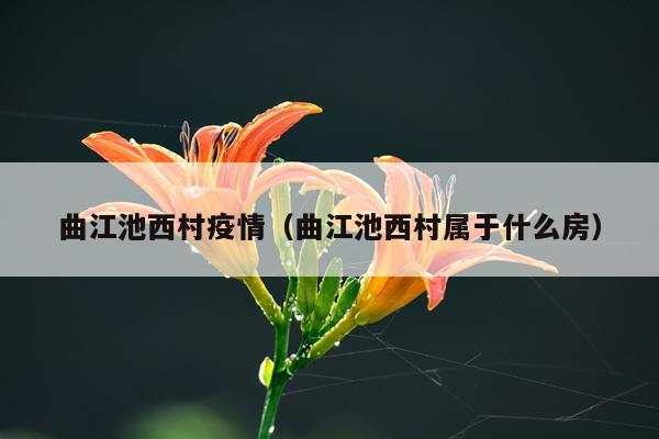 曲江池西村疫情（曲江池西村属于什么房）