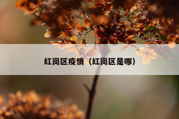 红岗区疫情（红岗区是哪）