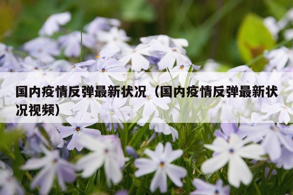 国内疫情反弹最新状况（国内疫情反弹最新状况视频）