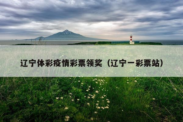 辽宁体彩疫情彩票领奖（辽宁一彩票站）