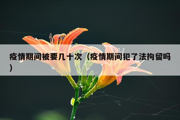 疫情期间被要几十次（疫情期间犯了法拘留吗）