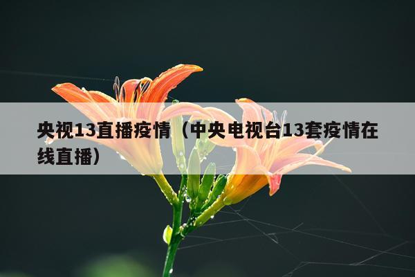 央视13直播疫情（中央电视台13套疫情在线直播）