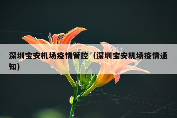 深圳宝安机场疫情管控（深圳宝安机场疫情通知）
