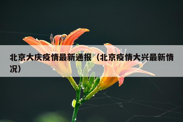 北京大庆疫情最新通报（北京疫情大兴最新情况）