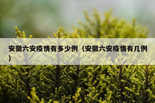 安徽六安疫情有多少例（安徽六安疫情有几例）