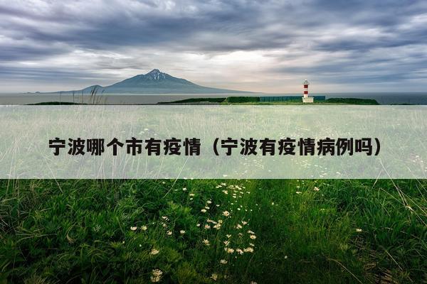宁波哪个市有疫情（宁波有疫情病例吗）