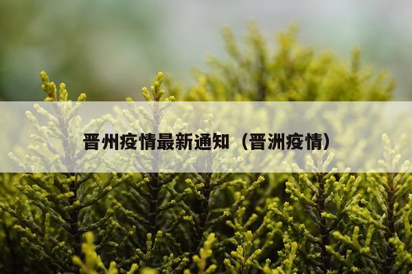 晋州疫情最新通知（晋洲疫情）