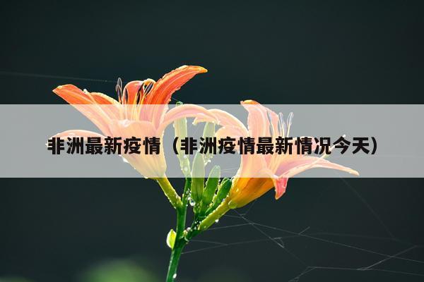 非洲最新疫情（非洲疫情最新情况今天）