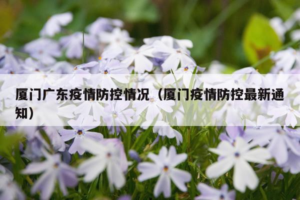 厦门广东疫情防控情况（厦门疫情防控最新通知）