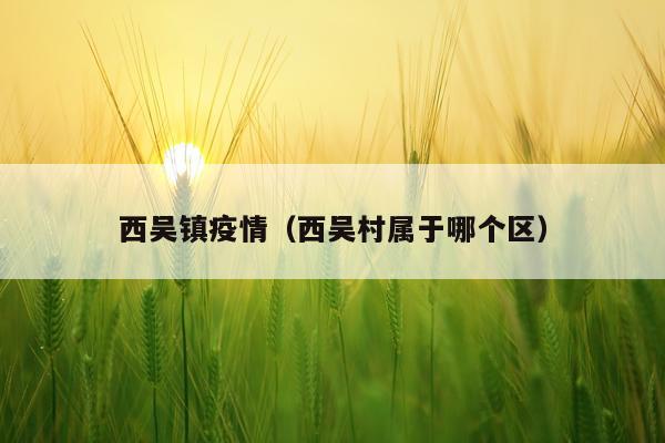 西吴镇疫情（西吴村属于哪个区）