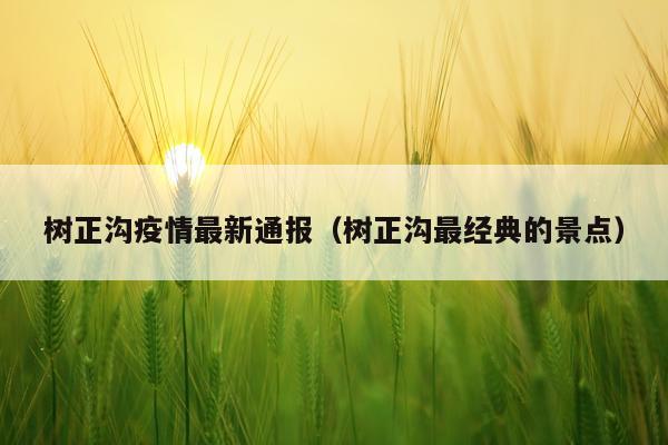 树正沟疫情最新通报（树正沟最经典的景点）