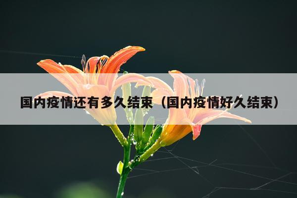 国内疫情还有多久结束（国内疫情好久结束）