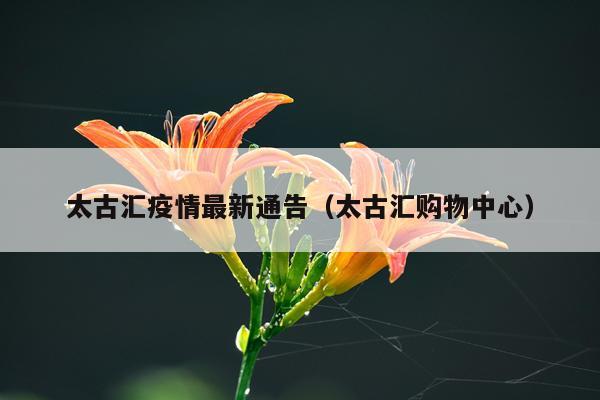 太古汇疫情最新通告（太古汇购物中心）