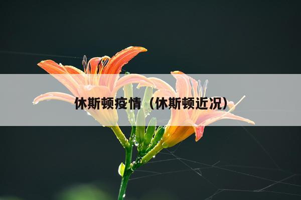 休斯顿疫情（休斯顿近况）