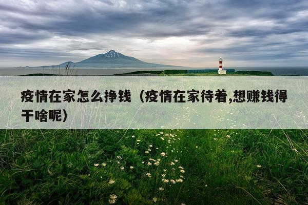 疫情在家怎么挣钱（疫情在家待着,想赚钱得干啥呢）