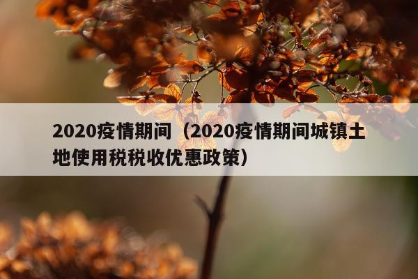 2020疫情期间（2020疫情期间城镇土地使用税税收优惠政策）