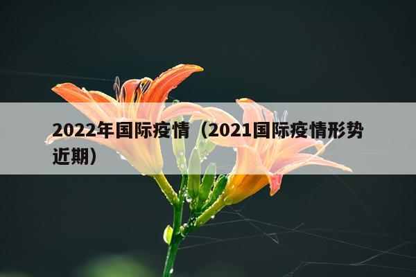 2022年国际疫情（2021国际疫情形势近期）