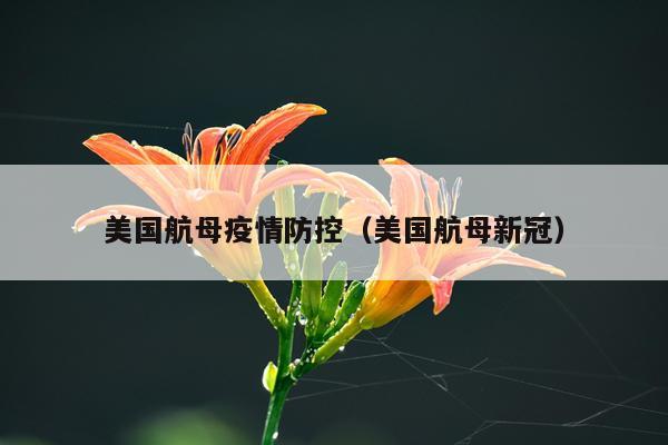 美国航母疫情防控（美国航母新冠）