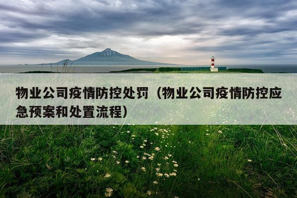 物业公司疫情防控处罚（物业公司疫情防控应急预案和处置流程）