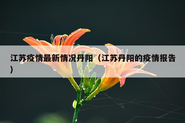 江苏疫情最新情况丹阳（江苏丹阳的疫情报告）