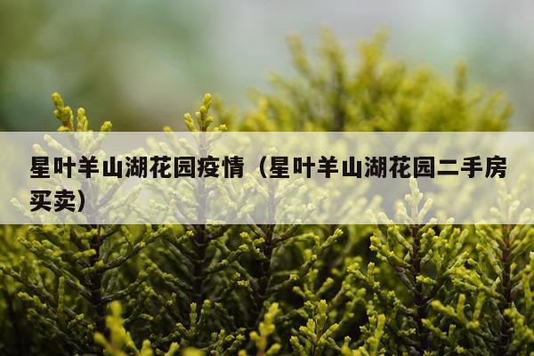 星叶羊山湖花园疫情（星叶羊山湖花园二手房买卖）