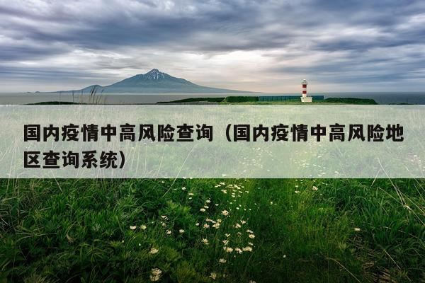 国内疫情中高风险查询（国内疫情中高风险地区查询系统）