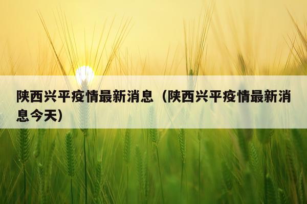 陕西兴平疫情最新消息（陕西兴平疫情最新消息今天）