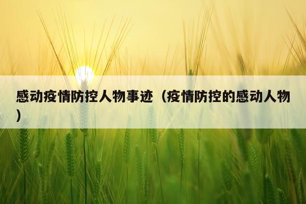 感动疫情防控人物事迹（疫情防控的感动人物）