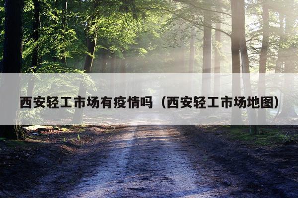 西安轻工市场有疫情吗（西安轻工市场地图）