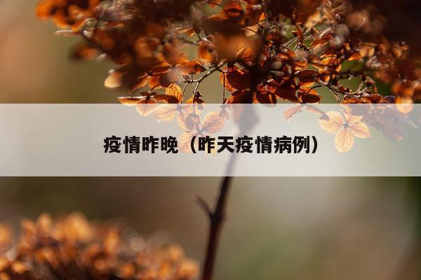 疫情昨晚（昨天疫情病例）