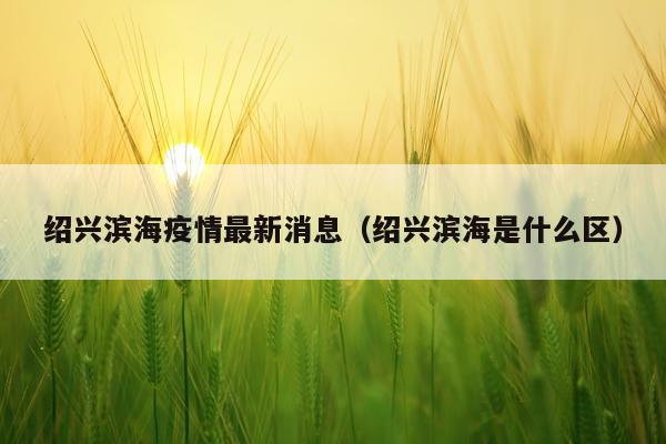 绍兴滨海疫情最新消息（绍兴滨海是什么区）