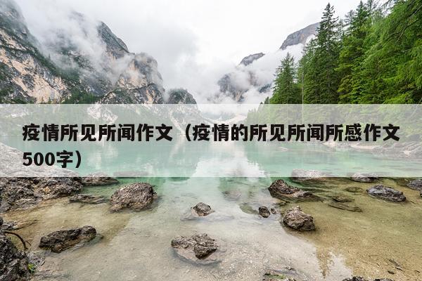 疫情所见所闻作文（疫情的所见所闻所感作文500字）