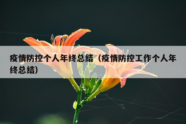疫情防控个人年终总结（疫情防控工作个人年终总结）