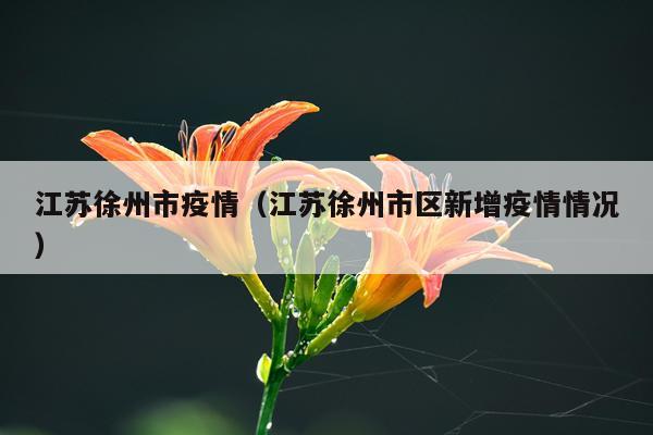 江苏徐州市疫情（江苏徐州市区新增疫情情况）