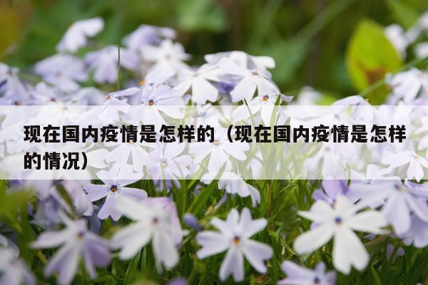 现在国内疫情是怎样的（现在国内疫情是怎样的情况）