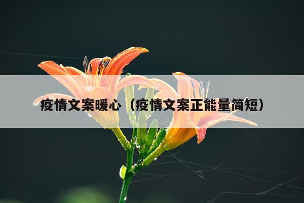 疫情文案暖心（疫情文案正能量简短）