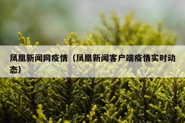 凤凰新闻网疫情（凤凰新闻客户端疫情实时动态）