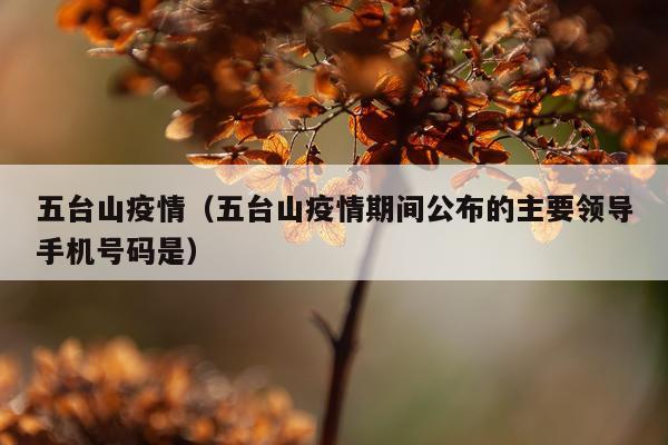 五台山疫情（五台山疫情期间公布的主要领导手机号码是）