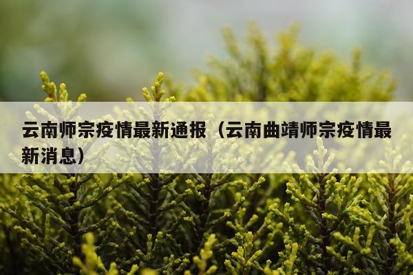 云南师宗疫情最新通报（云南曲靖师宗疫情最新消息）