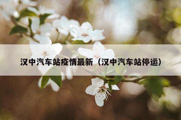 汉中汽车站疫情最新（汉中汽车站停运）