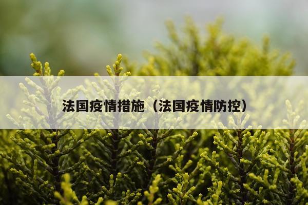 法国疫情措施（法国疫情防控）