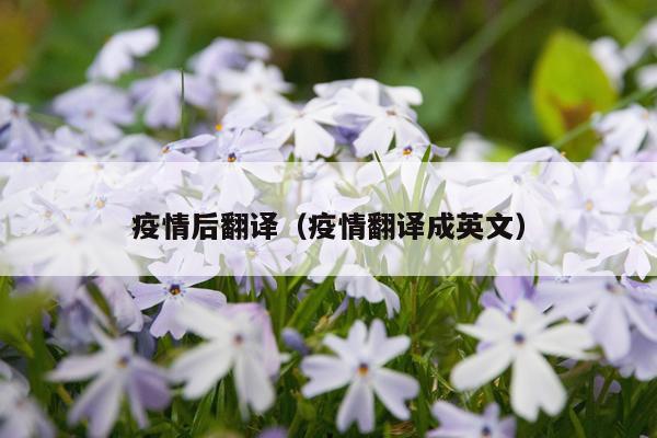 疫情后翻译（疫情翻译成英文）