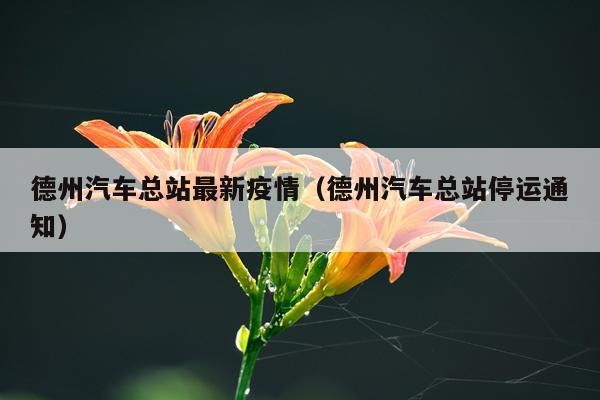 德州汽车总站最新疫情（德州汽车总站停运通知）
