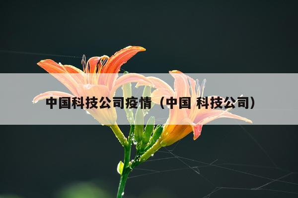 中国科技公司疫情（中国 科技公司）