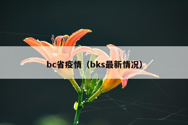bc省疫情（bks最新情况）