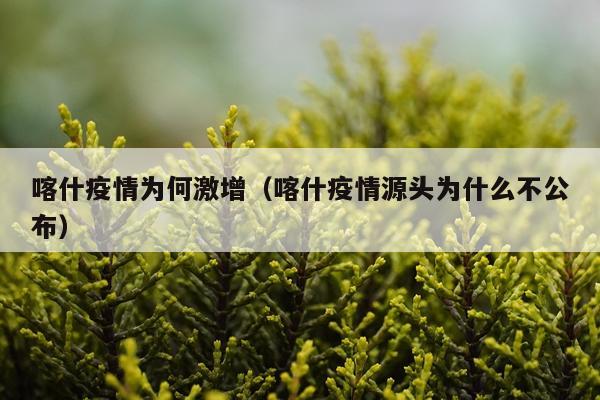 喀什疫情为何激增（喀什疫情源头为什么不公布）