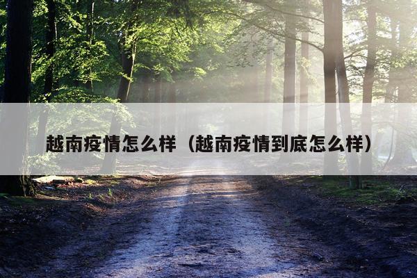 越南疫情怎么样（越南疫情到底怎么样）